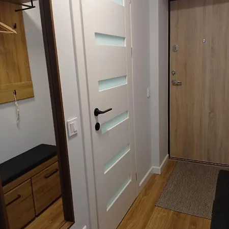 Timo Butas Apartament Druskieniki