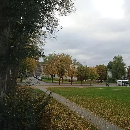 Timo Butas Apartament *