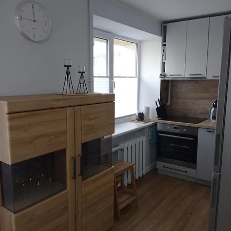 Timo Butas Apartament Druskieniki