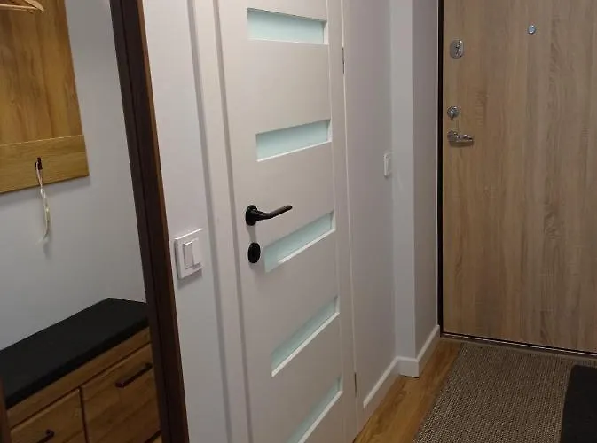 Timo Butas Apartament Druskieniki