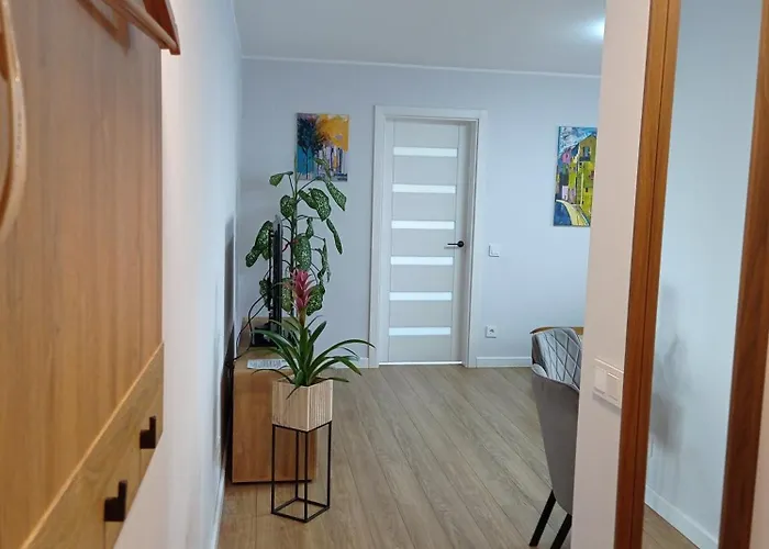 Timo Butas Apartament