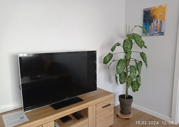 Apartament Timo Butas *