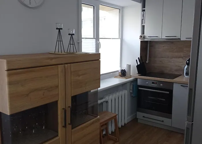 Timo Butas Apartment Druskininkai