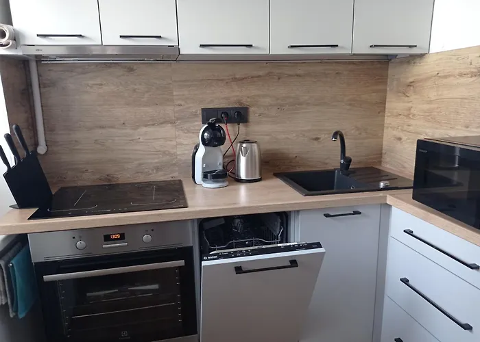 Timo Butas * Druskininkai